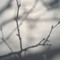 Lufttraum