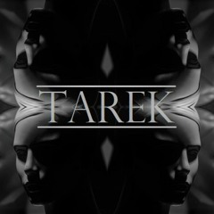 Flume feat. Moon Holiday - Insane (Tarek Remix)