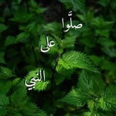 Abo Salma