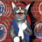 Dj Badcat!