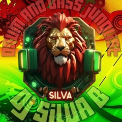 DJ SILVA B