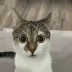huehuehue