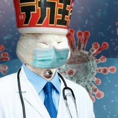 DrNoodles
