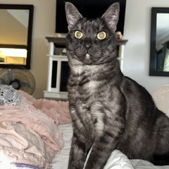 Charlie