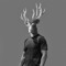 Deerhill