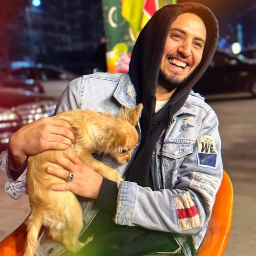 Shehab Elgazzar — artist photo