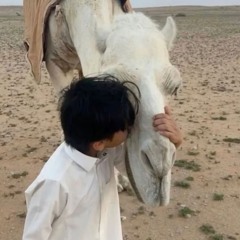 حمزه