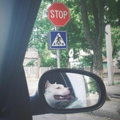 narisovalsa_tut_takoy