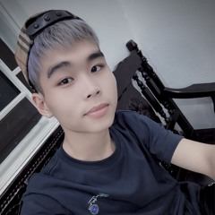 Vu Tran Hoang