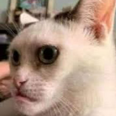 Liam Bosquezz Hamilton