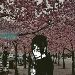 影ヅブ