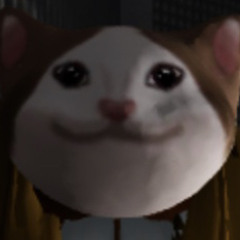 yoi