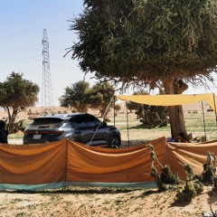 روحي وما ملكت يداي فداه 🎶 طلال مداح 🇸🇦