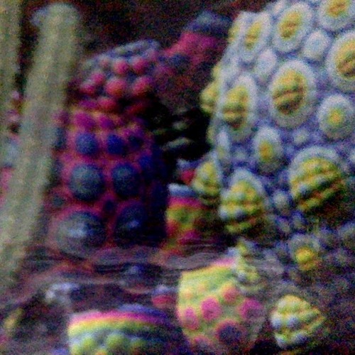 POSSESSION BY DEPRESSION jay x izzi