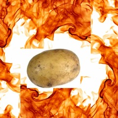 potato session