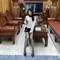 Do Quynh Anh