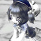 “．． 𝒶𝓁ℯ𝓈𝓈𝒶𝓃𝒹𝓇𝒶 ．．“