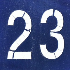 23