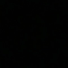 user755694086