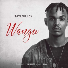 Taylor Icy