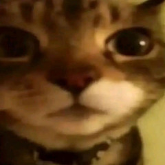 jimmysit0