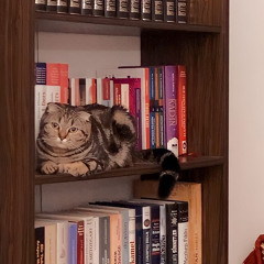 استغفرالله