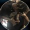 Whyit._1