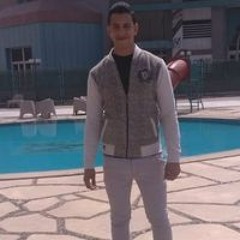 Ali Elsamak