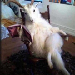 Camilo Diaz Dj👹💯