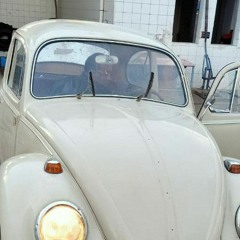 محمد احمد