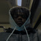 bxbyjeff