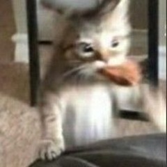 no