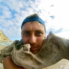 Matt Meyr