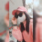dshy09_