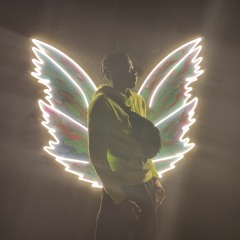 Professor5000