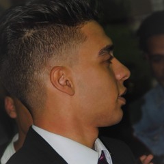 mostafa elgamal