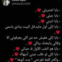 دب الباندا