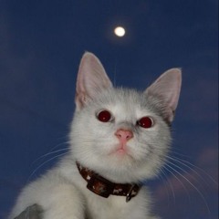 *+☆SONNY☆+*