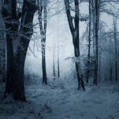 coldforest