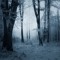 coldforest