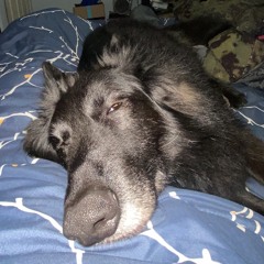 Cesar Jose Gonzalez Godoy