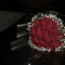 aseel
