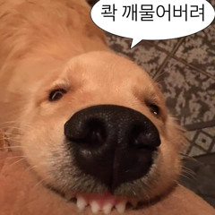 요혀ㅗ