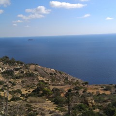 NidzaBleja