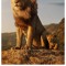king leo 🦁 ♌