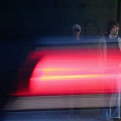 Glasshouse Red Spider Mite