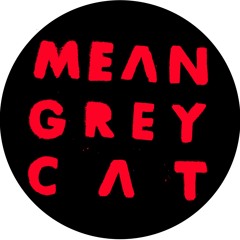 Mean Grey Cat