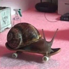 iluvhayleywilliams87