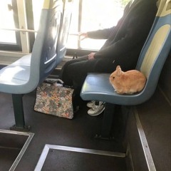 0_о