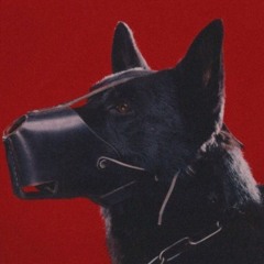 C4N1N3Z.